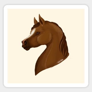 Arabian Horse Sticker